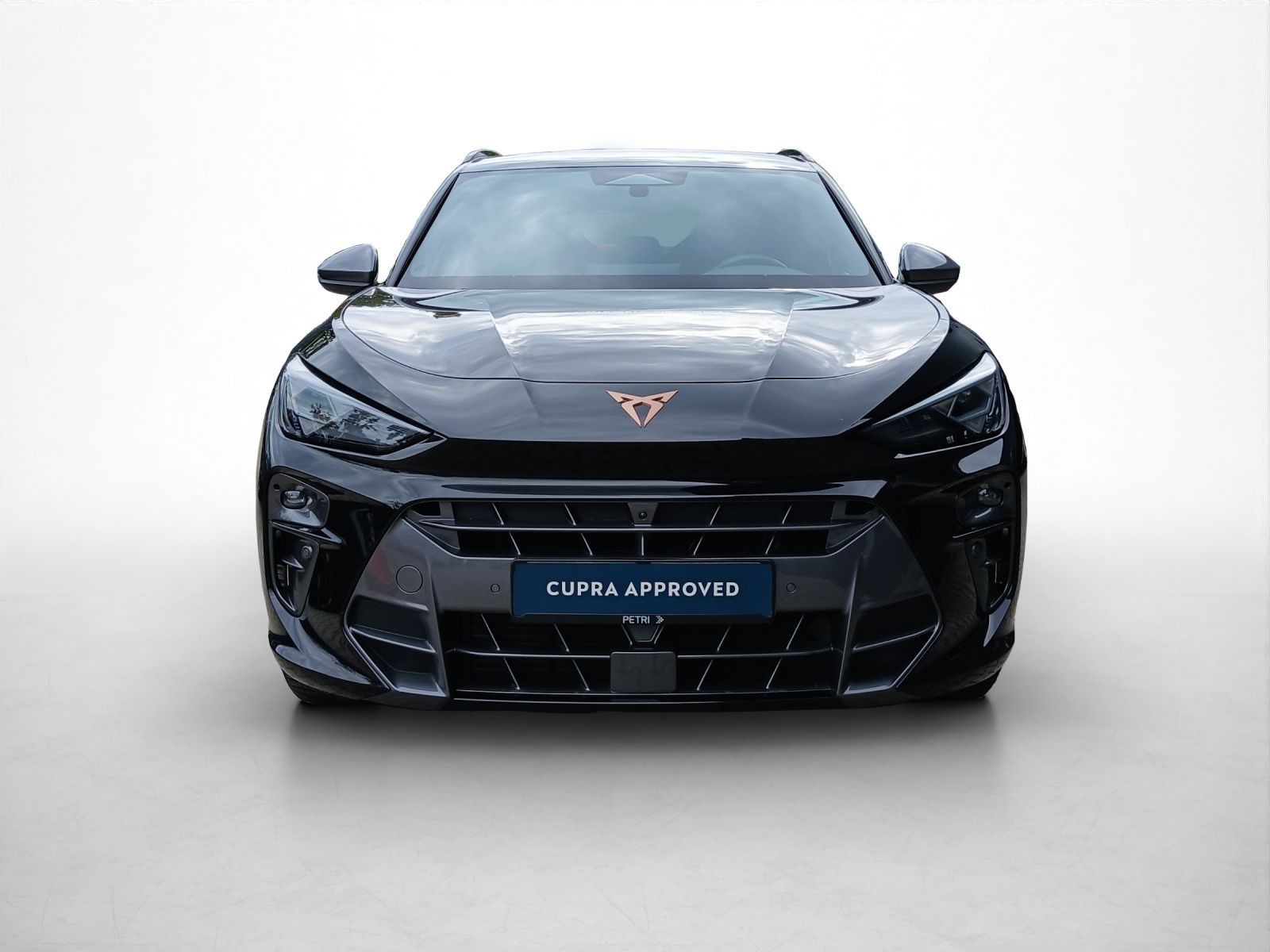 Cupra Terramar - Bild 13