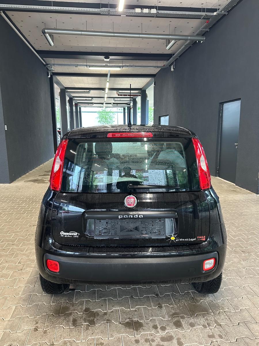 Fiat Panda Easy (BENZIN/GAS)
