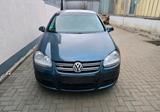 Volkswagen VW Golf 5 GT Sport 2.0 TDI 170PS Xenon 6-G... - Volkswagen Golf: Sport 170