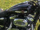 Harley-Davidson XL Sportster C - HARLEY-DAVIDSON SPORTSTER XL