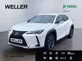 Lexus UX 250h Style Edition *Bi-LED*ACC*CAM*SHZ*CarPla - Lexus UX in Leipzig