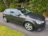 Audi A3 1.6 TDI Voll-Leder Orig.-Soundsystem SHZ Navi - Audi A3: V6