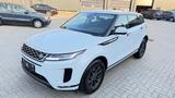 Land Rover Range Rover Evoque Basis 1-Hand MwSt Perlweiß - Land Rover aus 2021