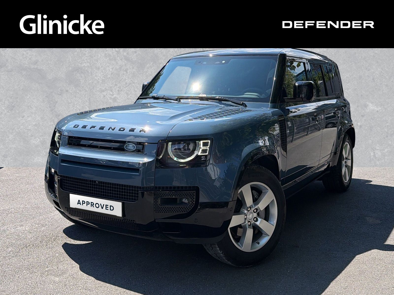 Land Rover Defender 110 D300 X-Dynamic SE / AHK / Black Pac