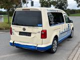Volkswagen Caddy Maxi Aut*Kamera*Rollstuhl*Rampe*7-Sitzer* - : Taxi, Van