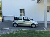 Fiat New Panda 1.2 8V Dynamic - Fiat New Panda Gebrauchtwagen