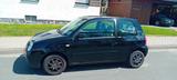 Volkswagen Lupo 1.0 College - Volkswagen Lupo: College
