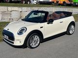 MINI COOPER Cabrio Cooper Leder Navi Automatik Xenon - MINI MINI: Beige