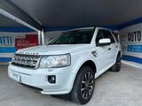 Land Rover Freelander 2.2 SD4 S.W. HSE - gebrauchte Land Rover Freelander aus dem Jahr 2011