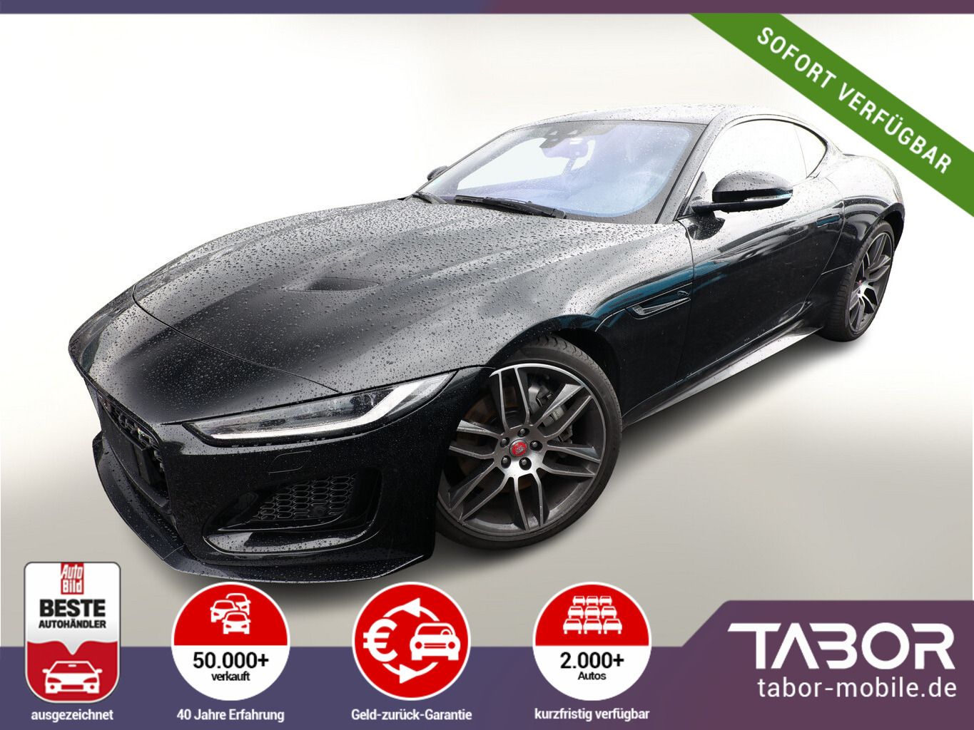 Jaguar F-TYPE 2.0 P300 R-Dyn DesignP LederP 20Z
