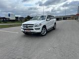 Mercedes-Benz GL 450 - Mercedes-Benz GL 450 Gebrauchtwagen