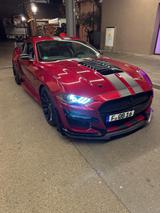 Ford Mustang 5.0 Ti-VCT V8 / Shelby GT500 Optik  - Ford Mustang: Shelby Gt500