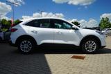 Ford Kuga 2.0 EcoBlue Titanium LED Navi Kamera ACC - Ford Kuga Gebrauchtwagen in Erfurt