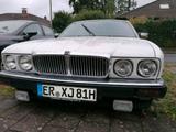 Jaguar XJ 40/81 - Jaguar XJ40 von privat