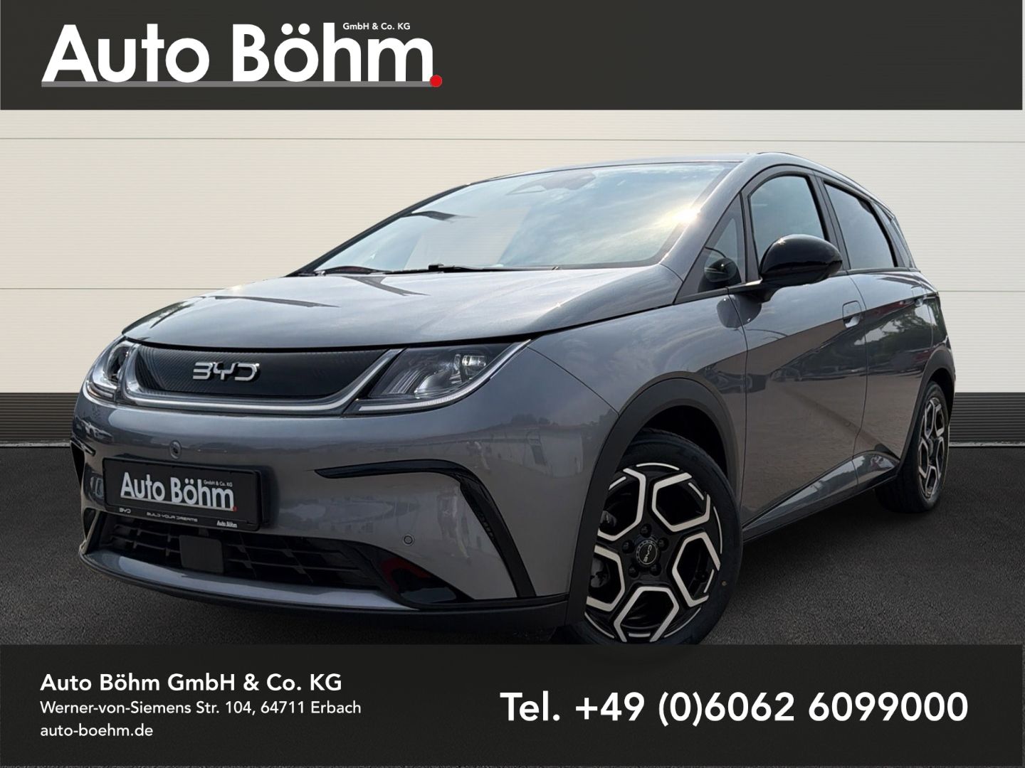 BYD DOLPHIN