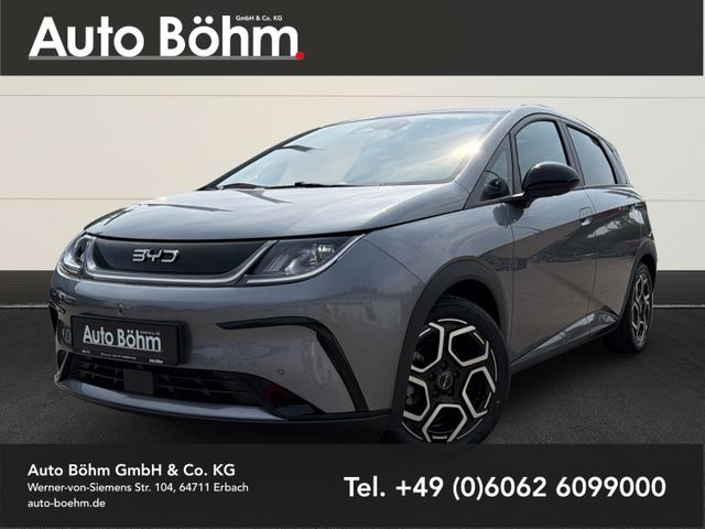 BYD Dolphin Design