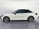BMW 218i Cabrio M Sport Navi Klima Leder PDC HiFi AH - BMW 218 aus 2016