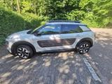 Citroën C4 Cactus BlueHDi 100 Shine TOP gepflegt  - Citroën C4 Cactus in Duisburg