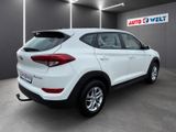 Hyundai Tucson 1.7 CRDi blue Classic 2WD PDC USB AUX - Hyundai in Halle