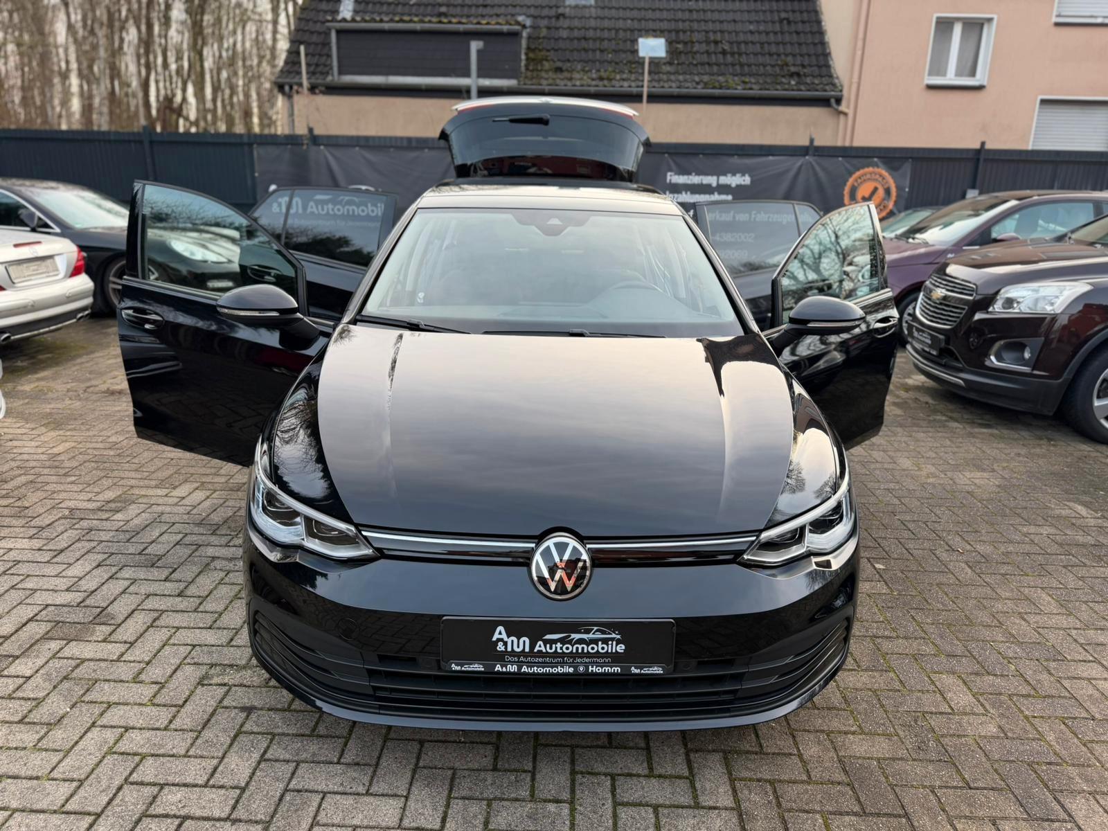 Volkswagen Golf VIII Lim. Life*Navi/Pano/IQ-Light/Kam/SHZ*, миниатюра 6