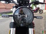 Benelli Leoncino 500 Trail Euro 5 Modell 2023 - BENELLI LEONCINO 500 TRAIL