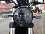 Benelli Leoncino 500 Trail Euro 5 Modell 2023 - Offers matching your search criteria