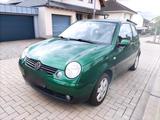 Volkswagen Lupo 1,4 75 PS 16 V erst 90 Tkm - Volkswagen Golf: 75ps
