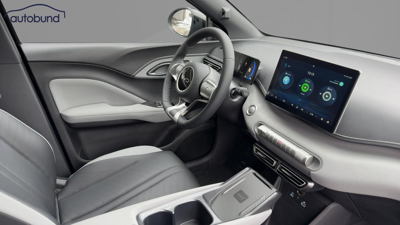 BYD DOLPHIN SURF