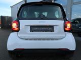 Smart fortwo coupe Passion*Wartungen lückenlos*TOP* Pa - Smart ForTwo mit Benzin-Antrieb: Scheckheftgepflegt