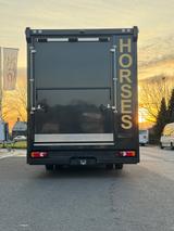 Renault Midlum Dickenherr 7,5t LKW 4-Pferde mit Wohnung - Bis 7,5t Lkw