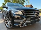 Mercedes-Benz ML 500 BlueEfficiency AMG Line - Mercedes-Benz ML 500: AMG