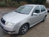 Skoda Fabia Elegance Tüv Neu - gebrauchte Skoda Fabia aus dem Jahr 2002