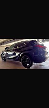 Lexus UX 250h Executive Line Executive Line - Lexus UX: Automatik