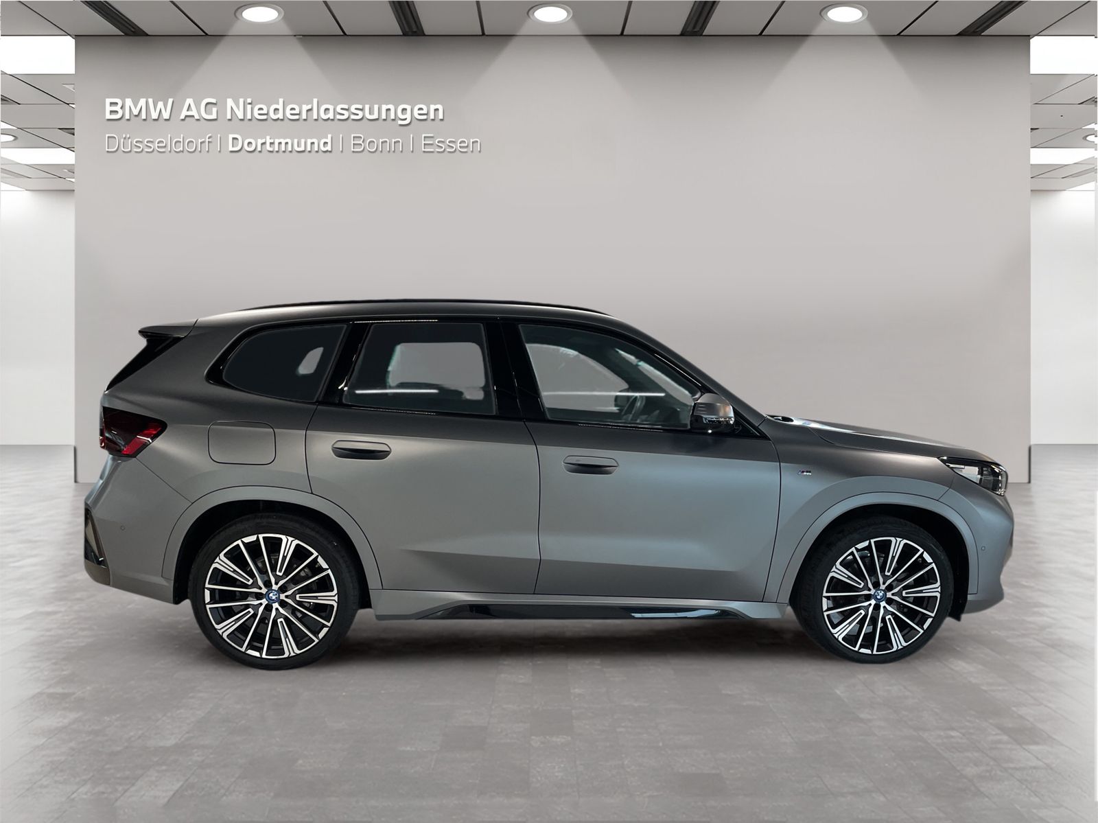 BMW iX1 xDrive30 M Sport Driv.Assist.Prof Harman K foto 5