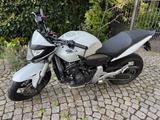 Honda Hornet CB600FA  PC41 Top Zustand - HONDA CB 600 F HORNET
