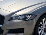 Jaguar XF 20t Portfolio *NAVI*SITZ-HZ.*KAMERA - Jaguar XF Gebrauchtwagen