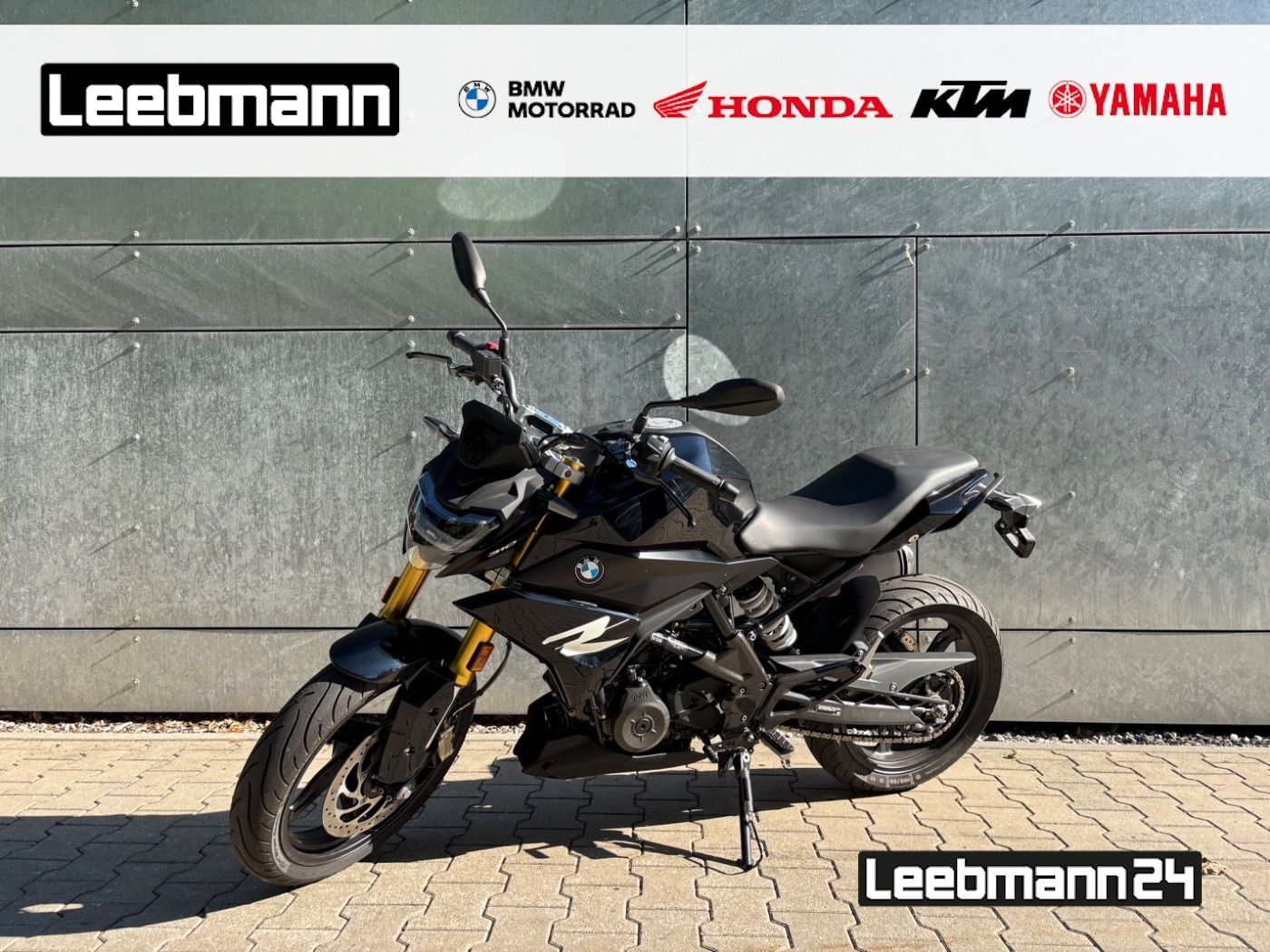Fahrzeugabbildung BMW G 310 R