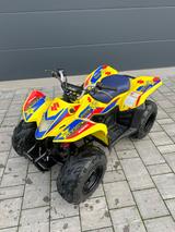 Suzuki ltz 50 - QUAD VON 1 BIS 50 CCM