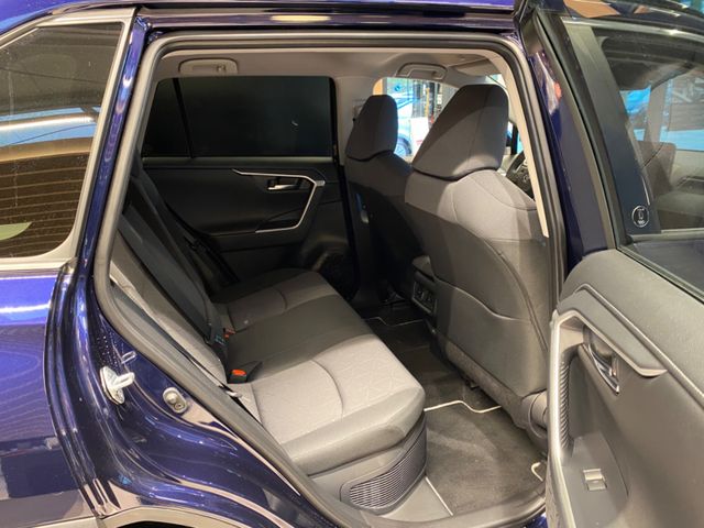 RAV 4 RAV4 Hybrid 4x2 Team D*Technik Paket*