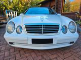 Mercedes-Benz CLK 430 AVANTGARDE Avantgarde - Mercedes-Benz CLK 430 Gebrauchtwagen
