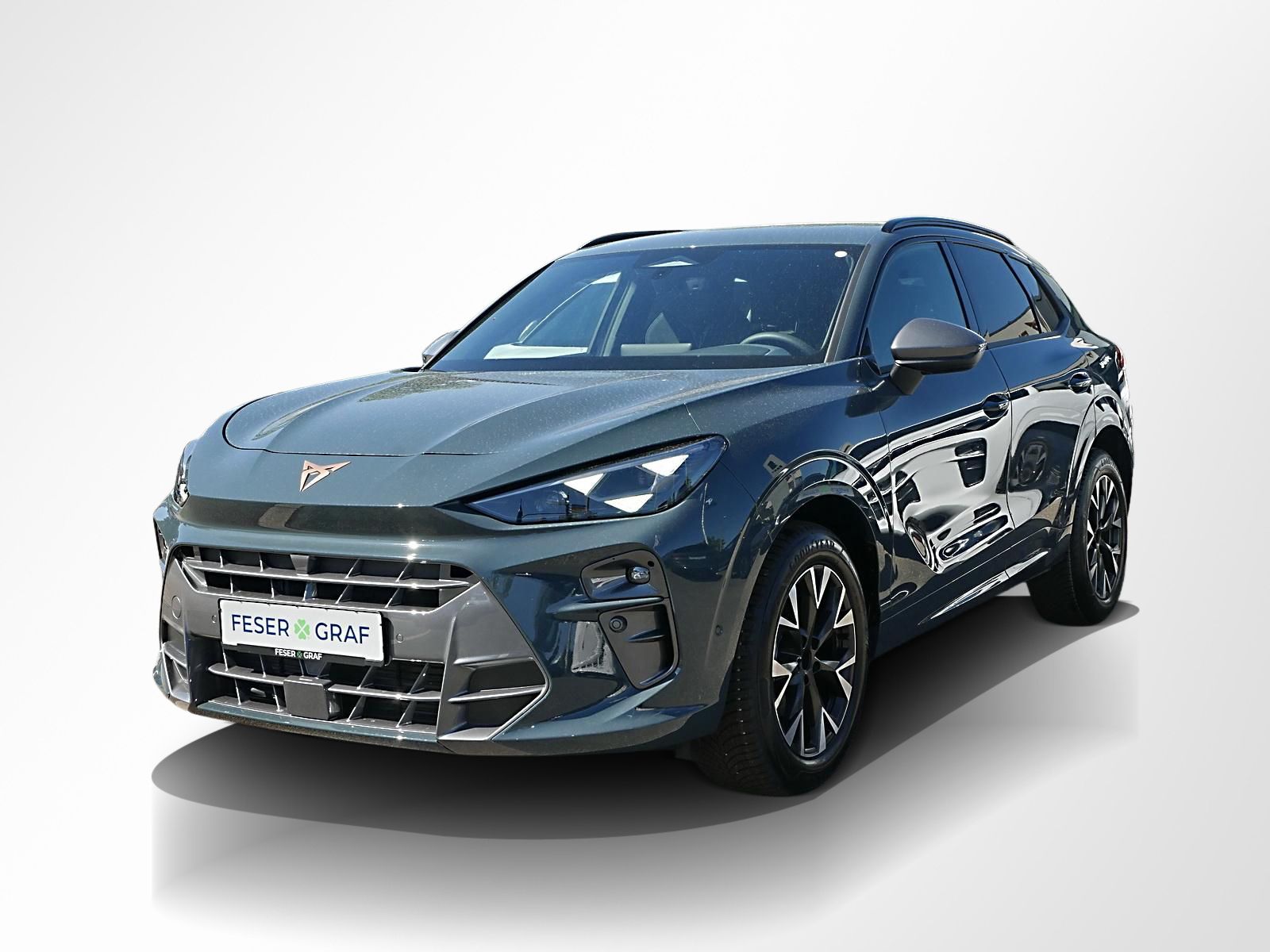 Cupra Terramar - Bild 14