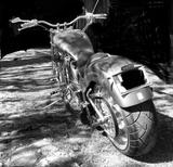 Andere Softtail Custom Bike - BENZIN CHOPPER CUSTOM