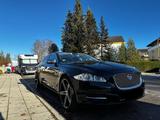 Jaguar XJ 5.0 V8 - Jaguar XJ aus 2013