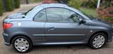 Peugeot 206 CC Filou 110 Filou - Peugeot 206: Grün