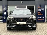 Cupra Formentor 2.0TDI*PANO*AHK*BEATS*LED*SH*KAMERA*VC - Cupra Formentor in Braunschweig
