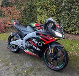 Aprilia RS 125 Replica - APRILIA RS 125