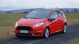 Ford Fiesta 1,6 EcoBoost ST ST - Ford Fiesta: 1.6
