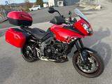 Triumph Tiger 1050 ABS 1. Hand Service - NEU - TRIUMPH TIGER 1050