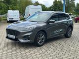 Ford Kuga ST-Line X Panorama Technologie Paket Winter - Ford Kuga Jahreswagen