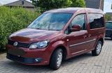 Volkswagen VW Caddy Roncalli Edition TÜV neu! - Volkswagen Caddy: Roncalli Edition